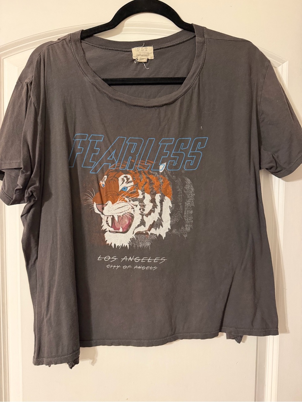 Project Social T Fearless Tiger Graphic Tee - Gray with Orange and Blue Print